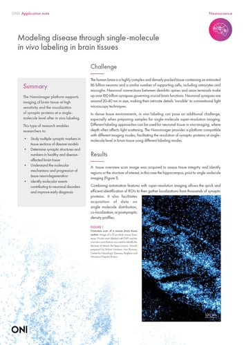 Modeling disease through single-molecule in vivo imaging brain tissues