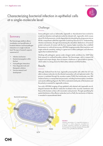 Characterizing bacterial infection in epithelial cells at a single-molecule level