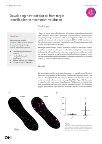 Developing new antibiotics: from target identification to mechanism validation