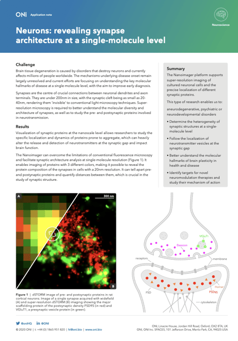 Neurons synapse architecture app note previw