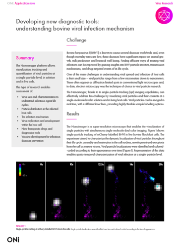 Developing new diagnostic tools: understanding bovine viral infection mechanism Developing new diagnostic tools: understanding bovine viral infection mechanism