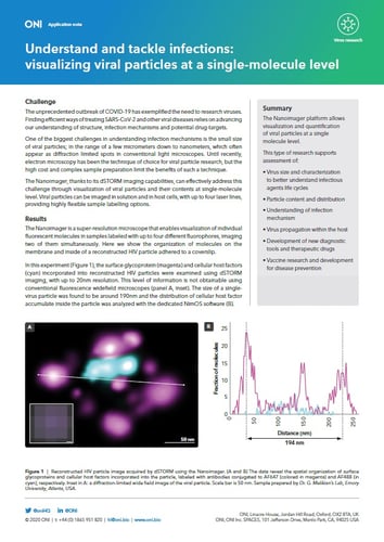 Visualizing viral particles at a single-molecule level