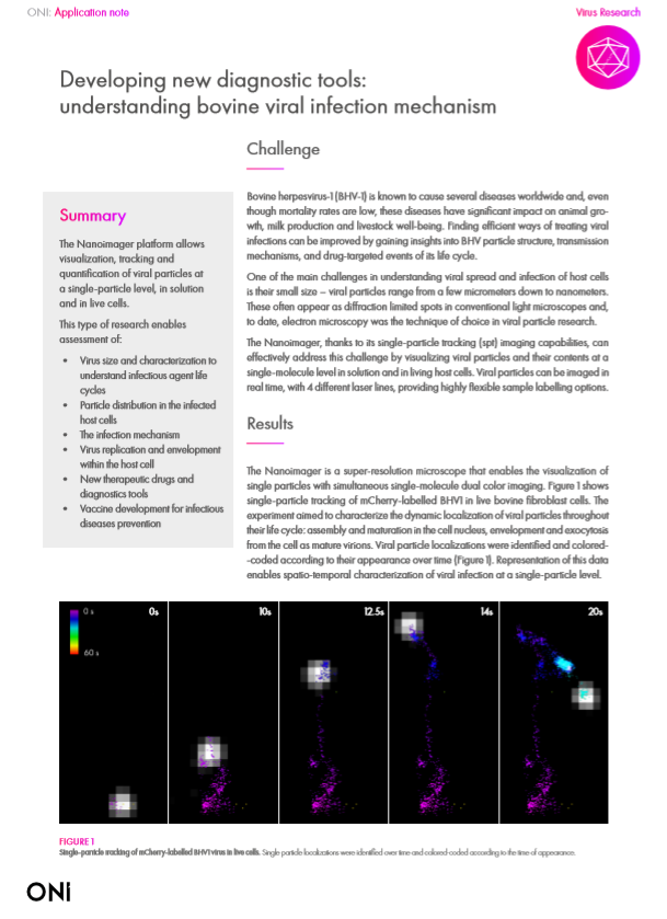 Developing new diagnostic tools: understanding bovine viral infection mechanism Developing new diagnostic tools: understanding bovine viral infection mechanism